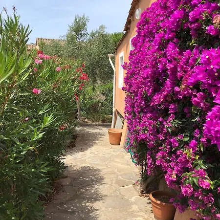 Maison Familiale Sur La Presqu'ile De Giens * Hyeres
