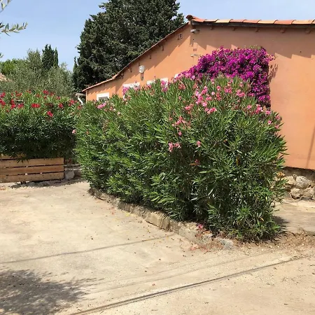 Vakantiehuis Maison Familiale Sur La Presqu'ile De Giens Hyères