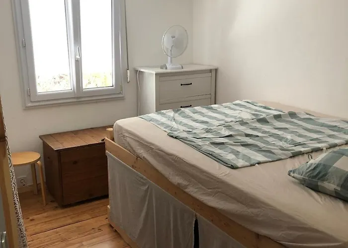 Maison Familiale Sur La Presqu'ile De Giens Σπίτι διακοπών